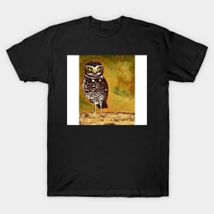 Burrowing Owl - solo T-Shirt